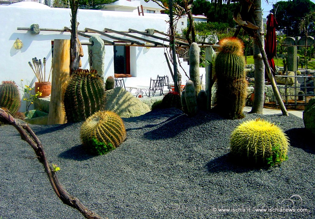 cactus lounge giardini ravino